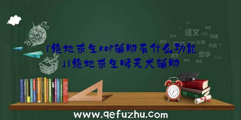 「绝地求生kof辅助有什么功能」|绝地求生哮天犬辅助
